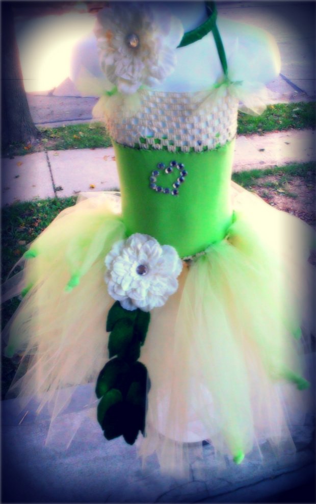 Princess Tutu Costume Dress