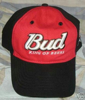 Dale Earnhardt Jr. Chase Authentics Cap Hat