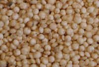 Organic Quinoa Grain.2.0lbs *temp out of stock*