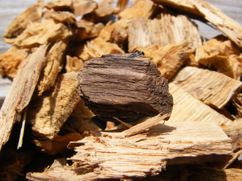 Tiny Wood Geocaching Container