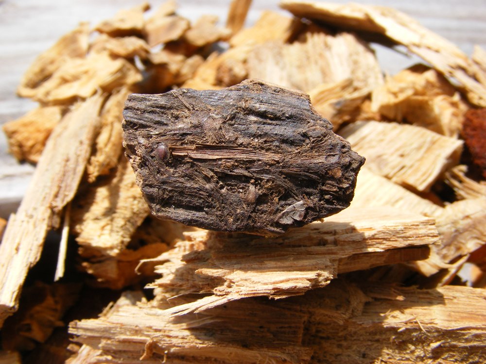Small Wooden Chip Micro Geocaching Container