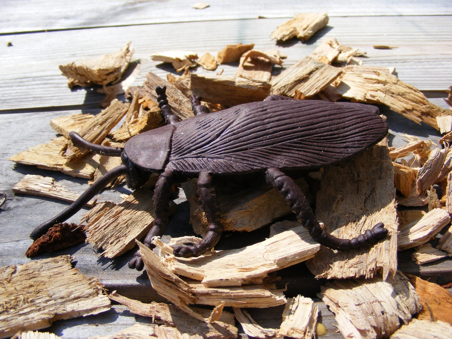 Realistic Cockroach Micro Geocaching Container