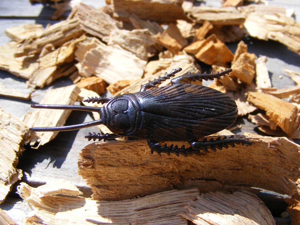 Roach Micro Geocaching Container