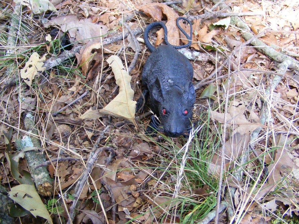 Crouching Red Eyed Rat Micro Geocaching Container