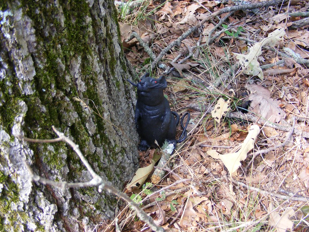 Sitting Red Eyed Rat Geocaching Container