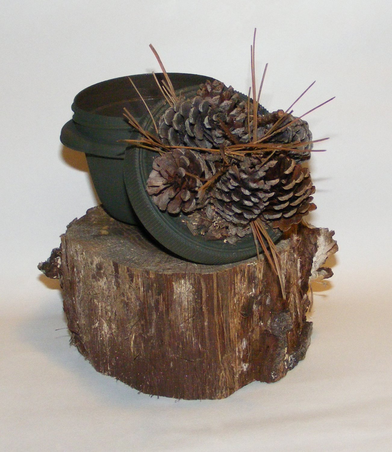 Pine Cone And Pine Straw Small Geocaching Container