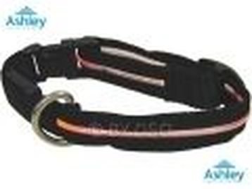 Small LED Dog Safety Collar 20 -30cm