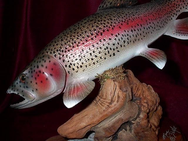 Rainbow Trout Sculpture