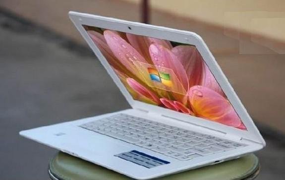 13.3 inch Laptop Notebook