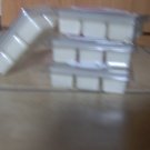 Eucalyptus Soy Breakaway Melts