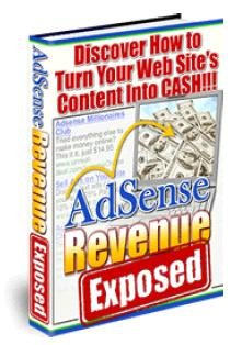 AdSense Revenue Exposed: Discover How to Turn Your Web Site's Content into Cash!!!