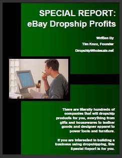 SPECIAL REPORT: eBay Dropship Profits