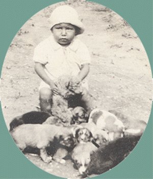 Vintage Photo TODDLER with LITTER of PUPPIES 1920s