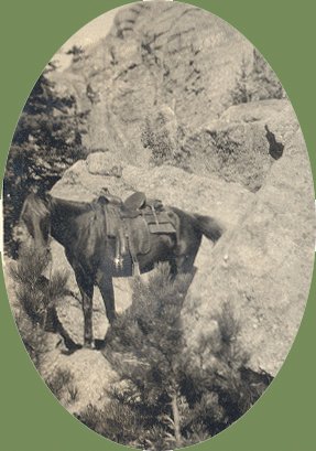 Vintage Photo 1920s HORSE South Dakota BADLANDS Tempest