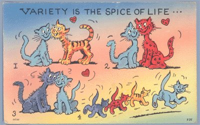 Vintage Postcard CAT Kitten VARIETY IS SPICE OF LIFE