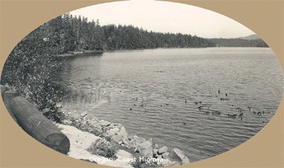 Vintage Postcard SAWYER Woahink Lake OREGON RP Photo