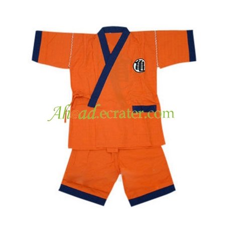 Dragon Ball Practice Suit Cosplay Costume