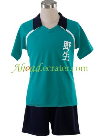 Inazuma Eleven Yasei School Soccer Uniform Cosplay Costume