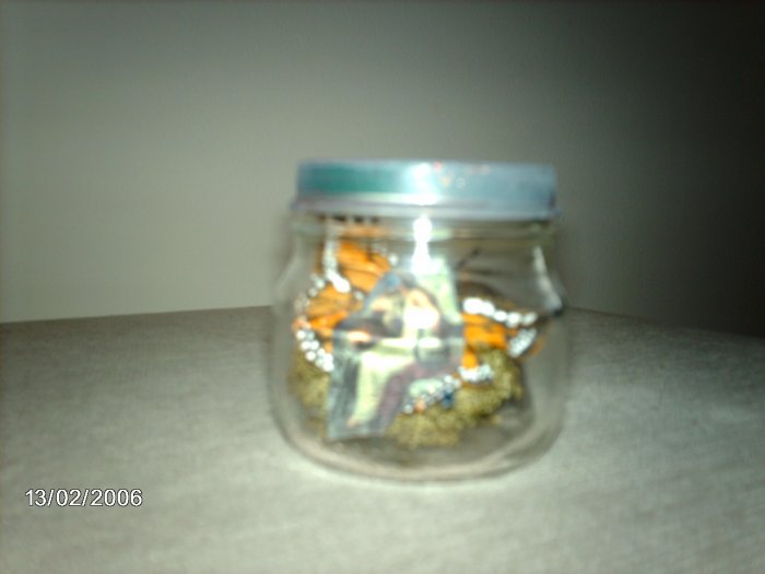 Baby Fairy Garden #26