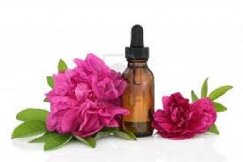 100% ORGANIC Pain Management Blend for Dogs and Cats--Essential Oil for Pets