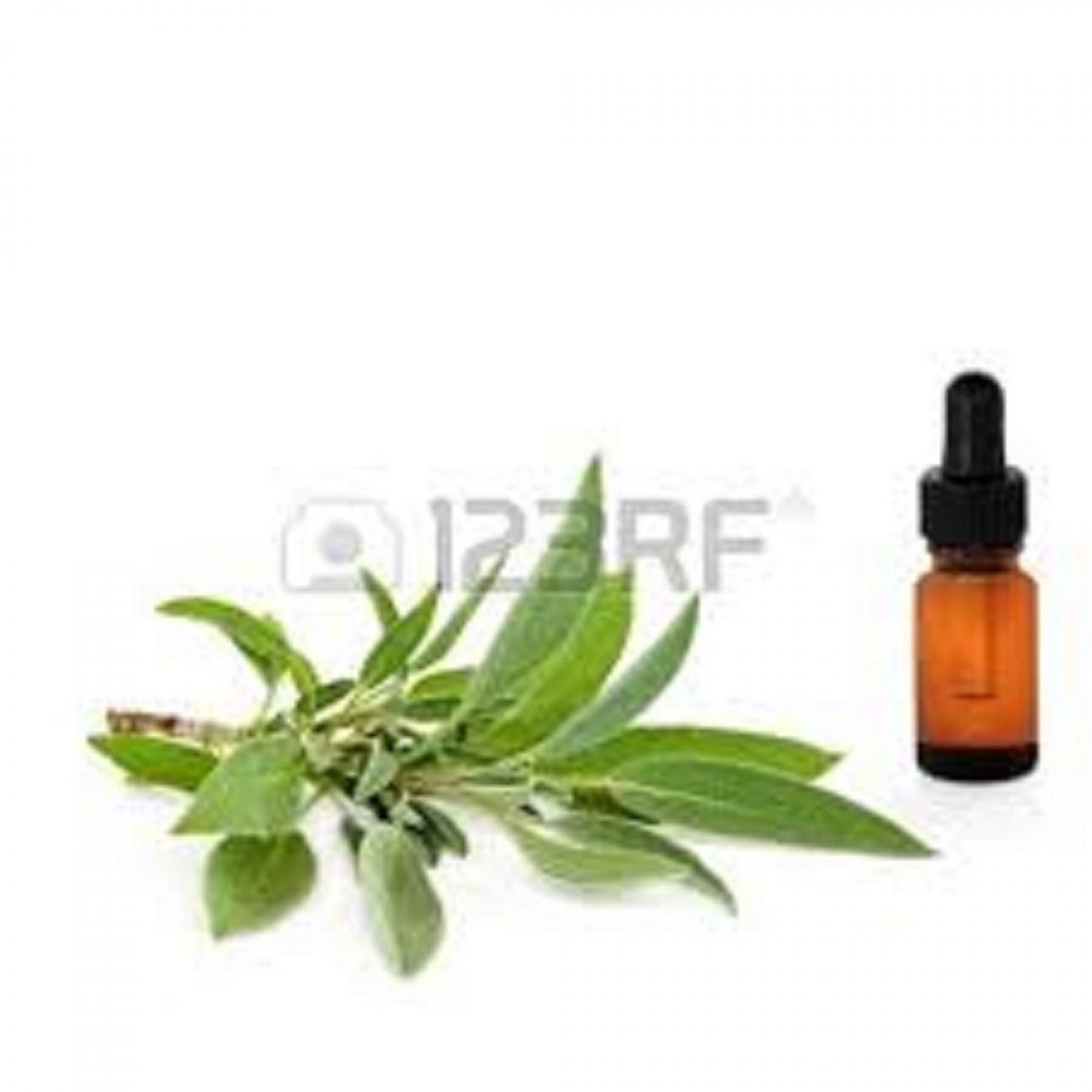 PURE ORGANIC Essential Oil BREATHE--60 ml.