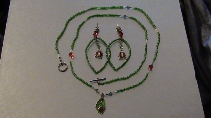 Lady Bug Necklace and Earing Set