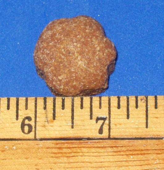 Medium Peanut Butter Flavor Dog Treats