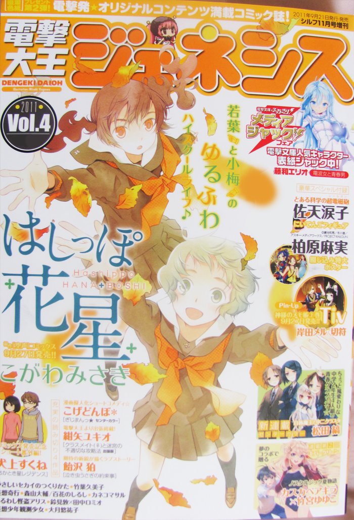RARE Japanese Magazine