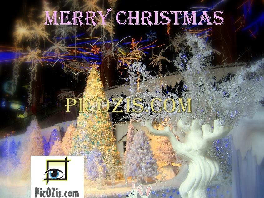 VHO0012001109 - Christmas Card 15x20cm (6x8")