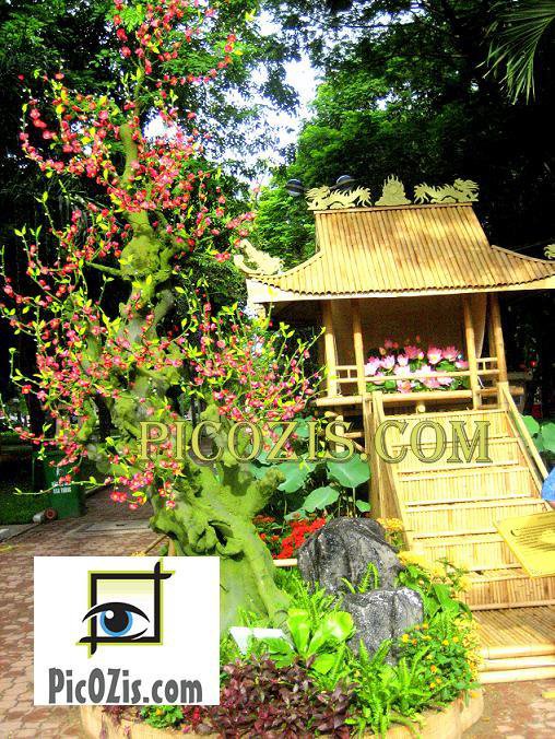 VLA007201109 - Bali flowers - 20x30cm (8x12")
