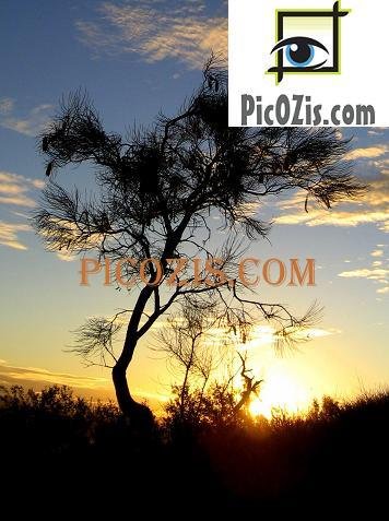 VSU003201109 - Sunset in Alice Springs - 15x20cm (6x8")