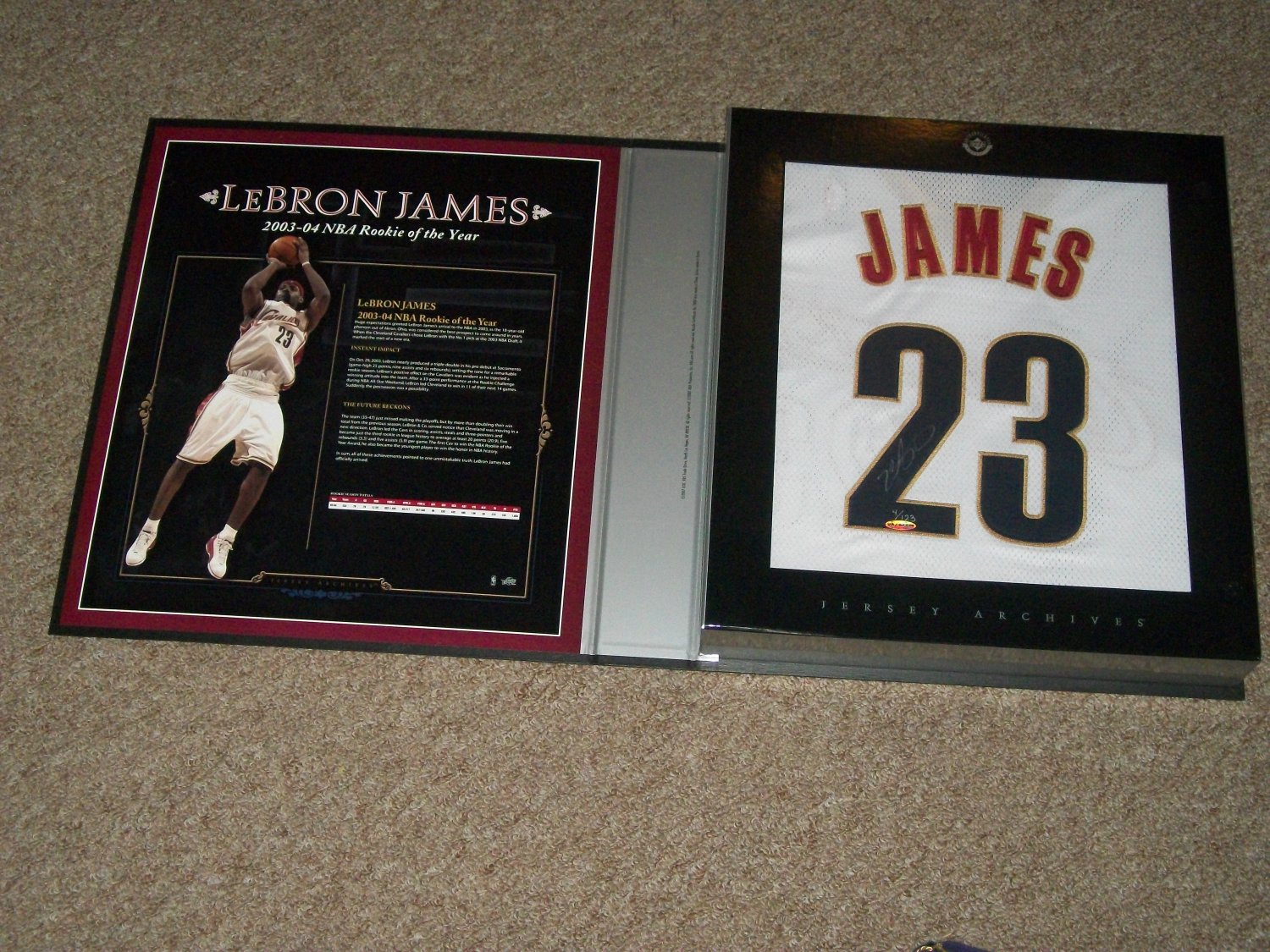 Lebron James LE 03-04 UDA Rookie of the Year autographed Jersey