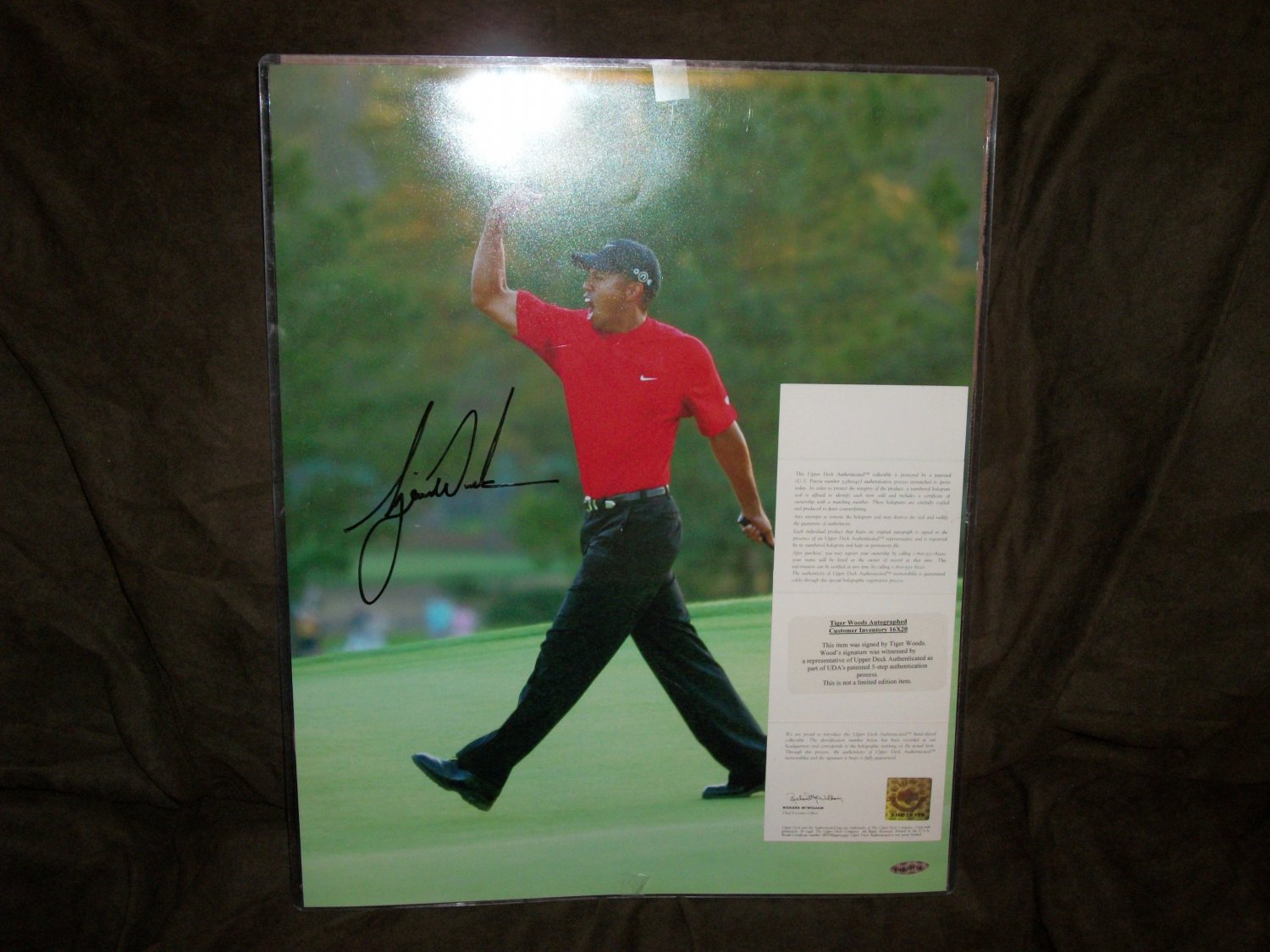 Tiger Woods autographed 16x20 UDA photo-Tiger Roars