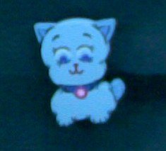 Kitty
