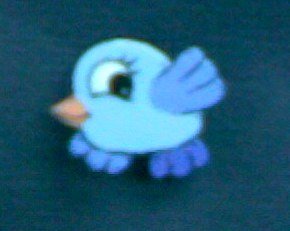 Little Birdie