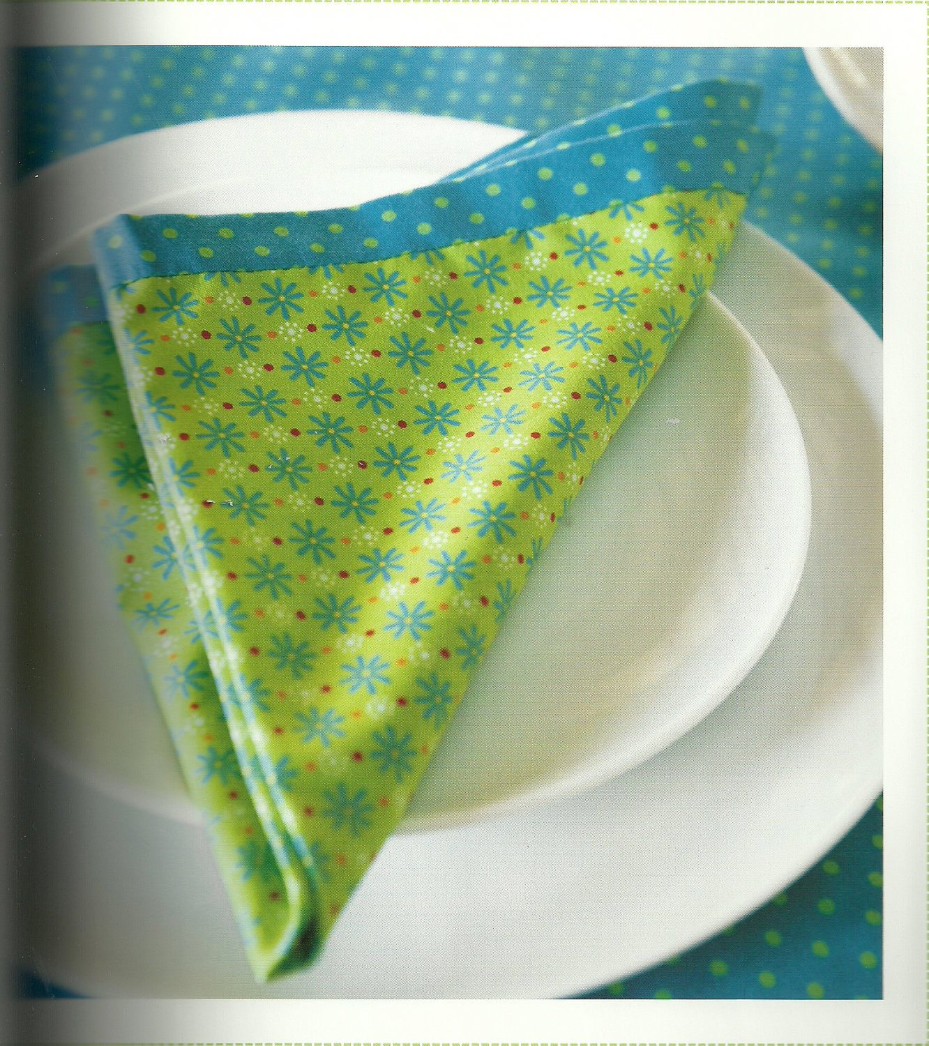 Bordered Napkin