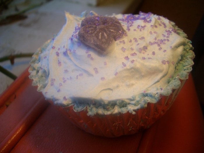 Frosted FizzyCakes