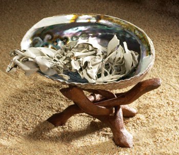 Abalone Shell & Stand