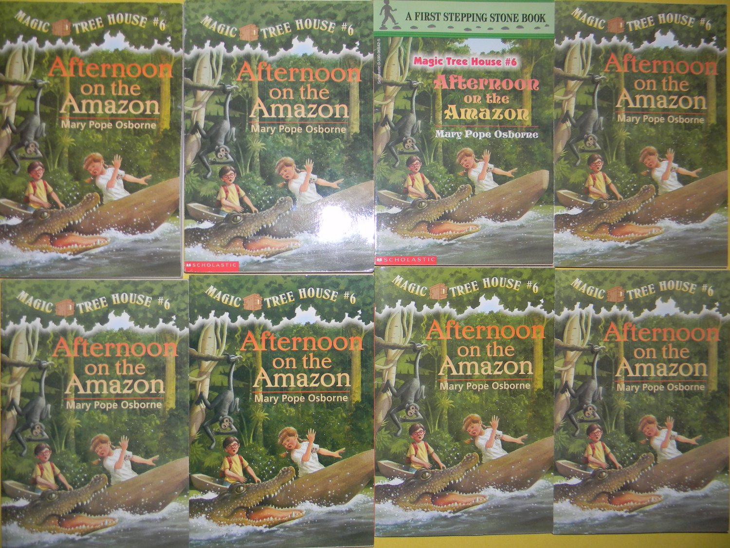 LOT MAGIC TREE HOUSE BOOKS RESEARCH GUIDE 10 TOTAL BOOKS NEW LOT MAGIC TREE HOUSE BOOKS RESEARCH GUIDE 10 TOTAL BOOKS NEW