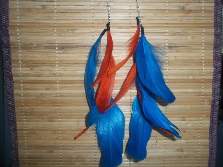 Blue/ orange feathers