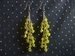 Yellow Dangles