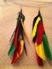 Rasta Feathers