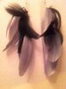 Black/ Grey Feather Earrings