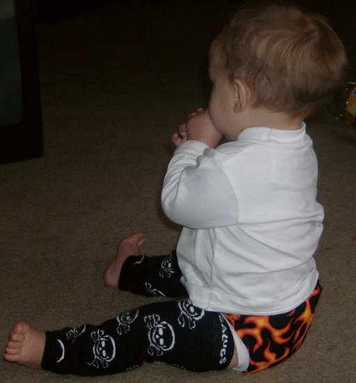Flaming Fitted Diaper and Cover sz Large
