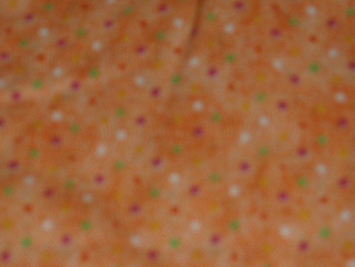 Confetti Fun Fitted Diaper and Cover Sz Large