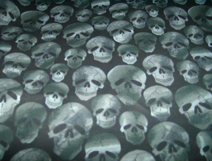 Black Skulls Fitted Diaper and Cover Sz Large *Halloween*