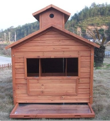 Chicken Coop With Internal Perches