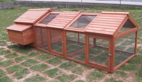 Chicken Coop With Nesting Box