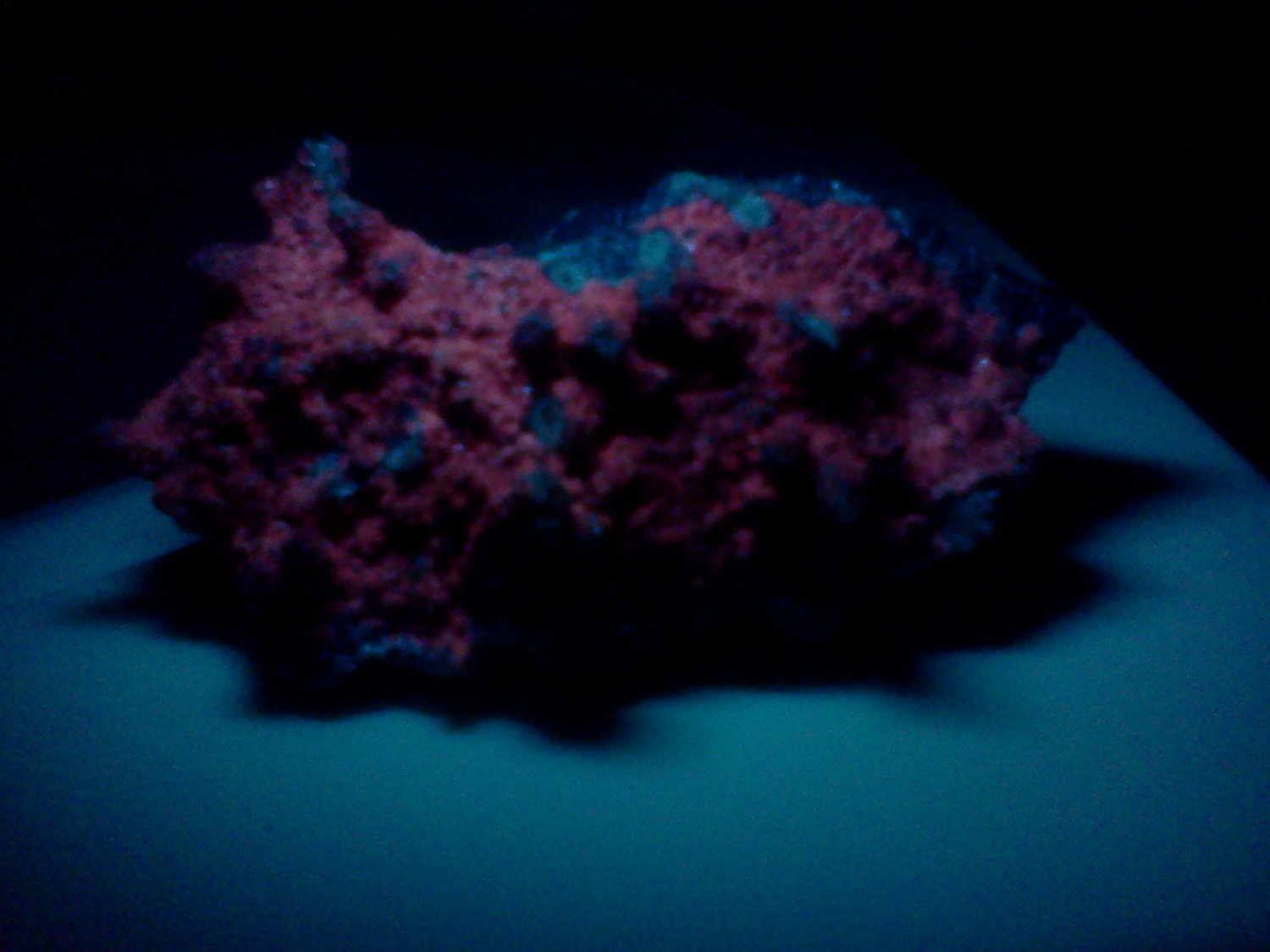 FLOURESCENT