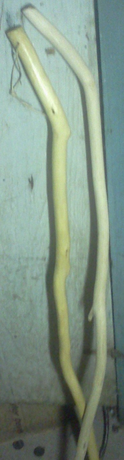 WALKING STICKS